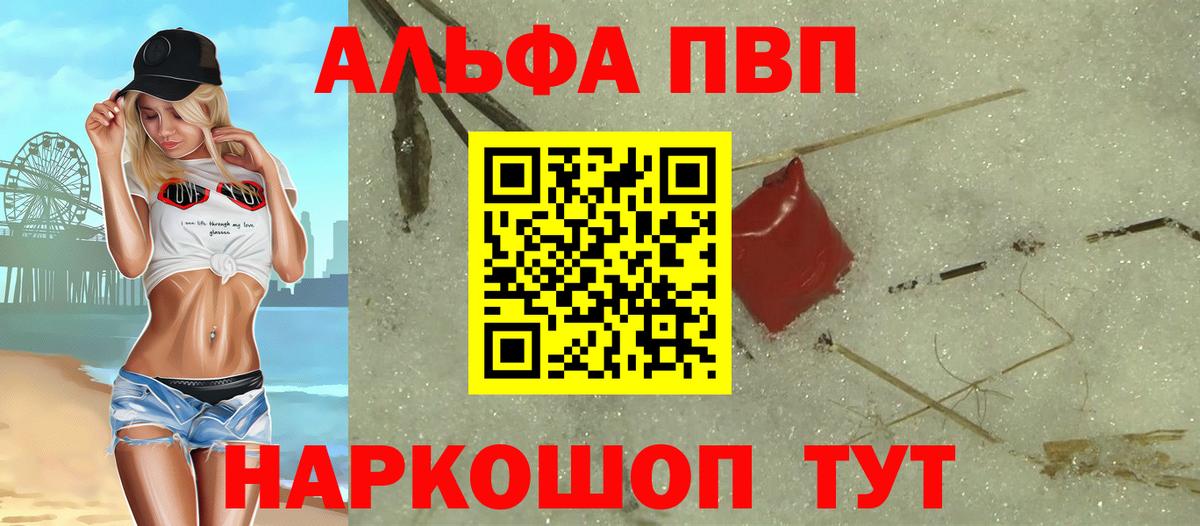 Альфа ПВП СК Губаха