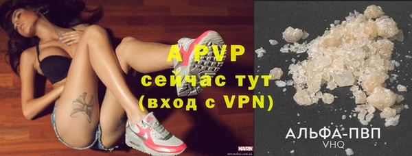 apvp Гусев