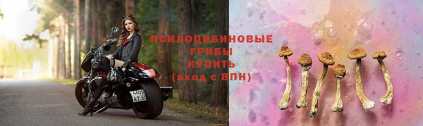 apvp Гусев