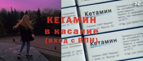 трава Гусиноозёрск