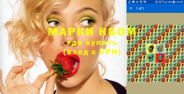 apvp Гусев