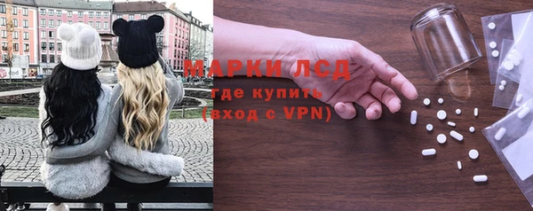 apvp Гусев