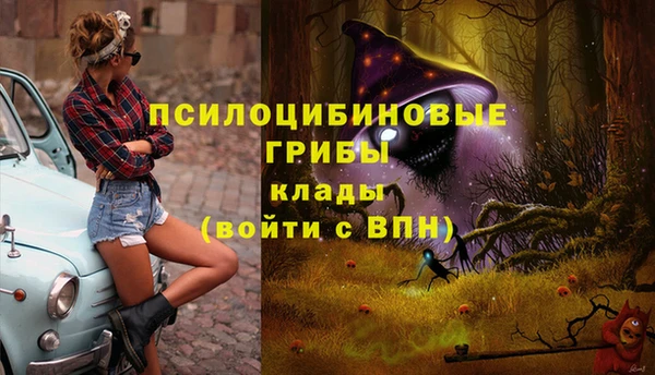 трава Гусиноозёрск