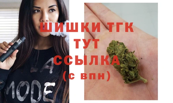 трава Гусиноозёрск