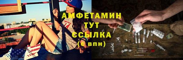 трава Гусиноозёрск