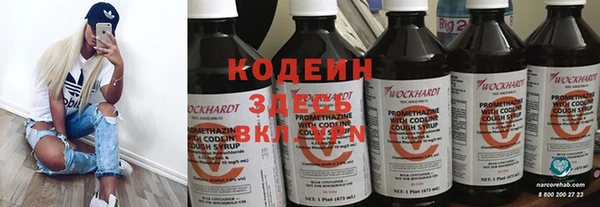 apvp Гусев