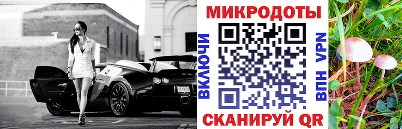 Псилоцибиновые грибы Psilocybe  Губаха 