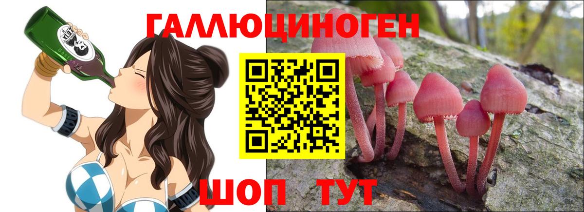 где купить наркоту  Вход с VPN  Губаха  Галлюциногенные грибы Psilocybe  Галлюциногенные грибы прущие грибы 