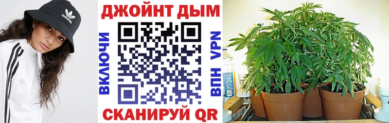 продажа наркотиков Губаха Бошки марихуана Ganja